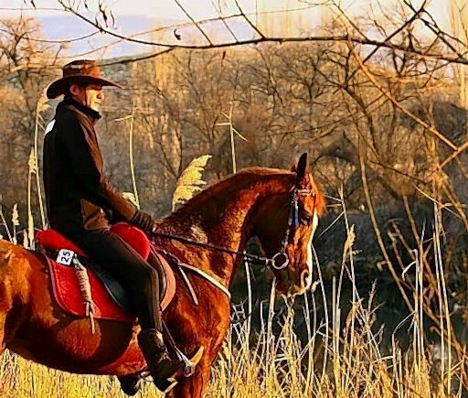 Horseback Riding Tour in Cappadocia 1Day