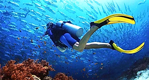 Scuba Diving