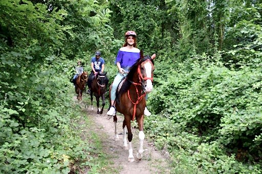 Kartepe Kahvaltı ve At Turu