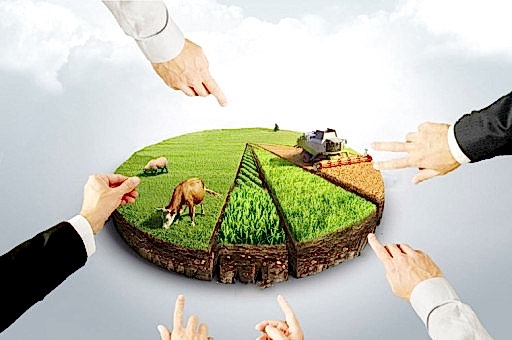 Turkey Land Investments Tour