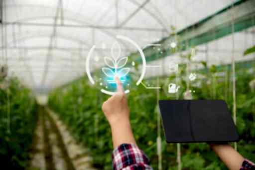 Turkey Agriculture and Agricultural Technology Investment Tour