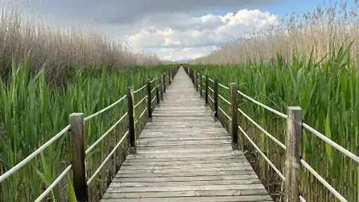Sultansazlığı National Park Tour