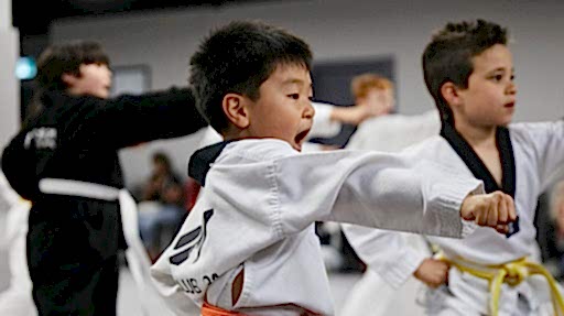 Taekwondo Summer Camp (Kids)